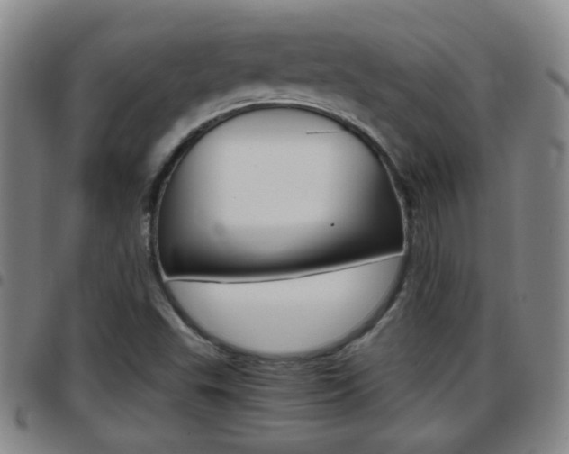 X0000097861503200803140844