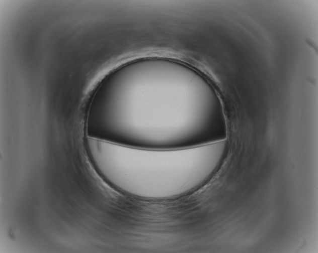 X0000097861504200803140844