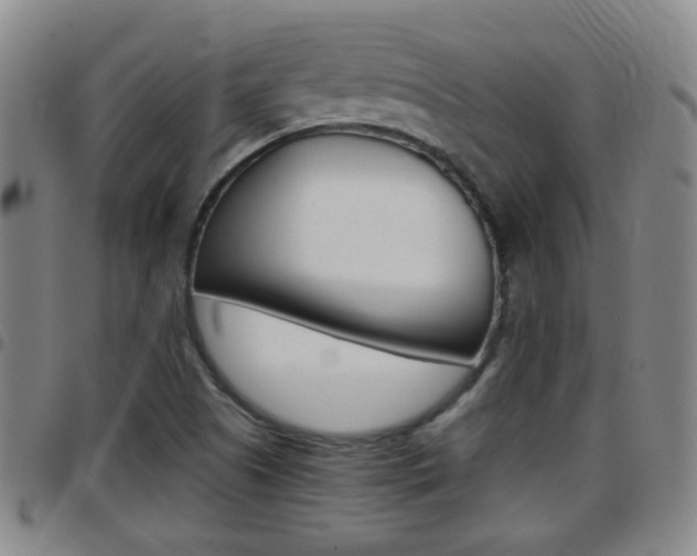 X0000097861505200803140844