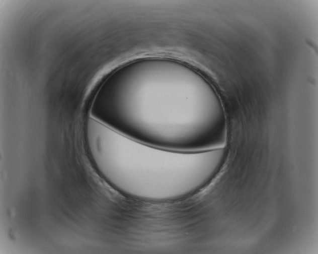 X0000097861506200803140844