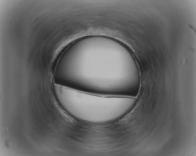 X0000097861507200803140844