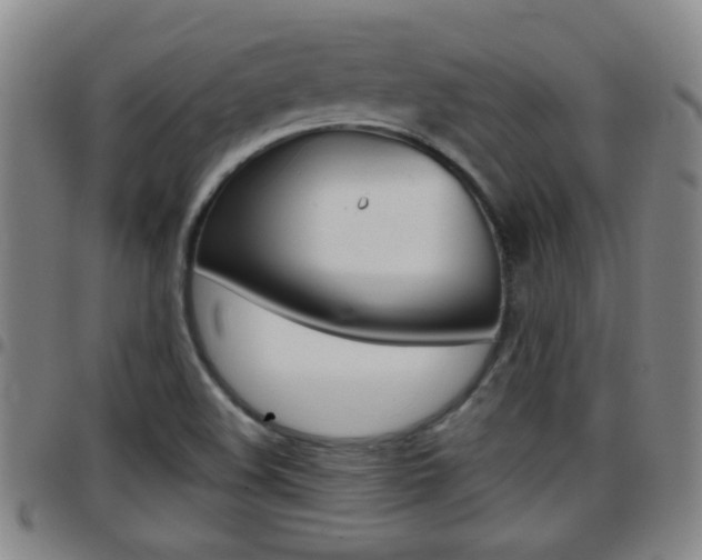 X0000097861508200803140844