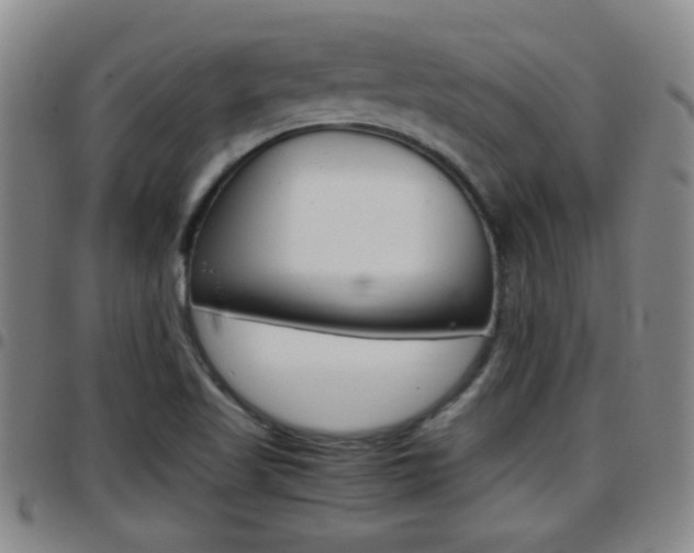 X0000097861509200803140844
