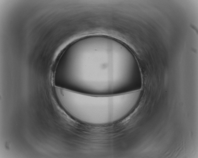 X0000097861510200803140844