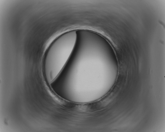 X0000097861511200803140844