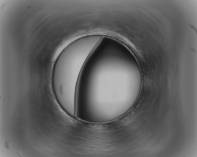 X0000097861512200803140844
