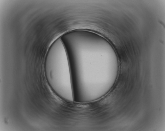 X0000097861513200803140844