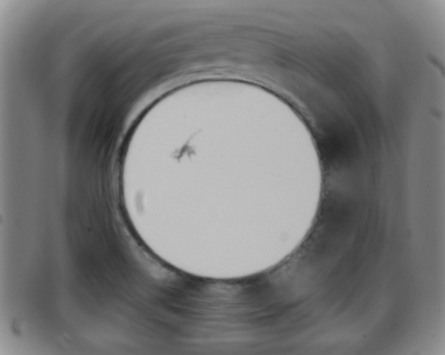 X0000097861514200803140844