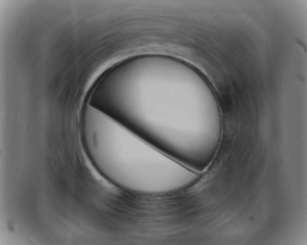 X0000097861515200803140845