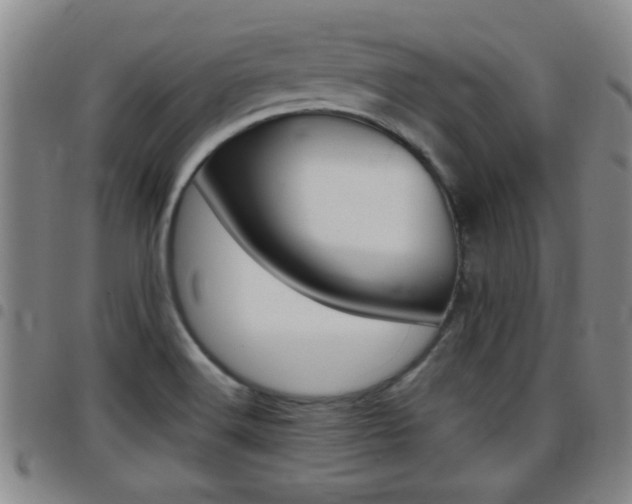 X0000097861516200803140845