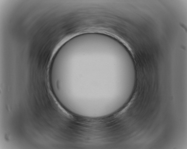 X0000097861517200803140845