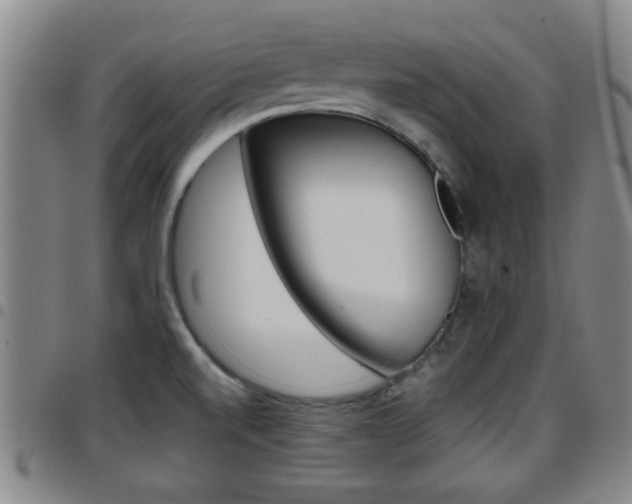 X0000097861520200803140845