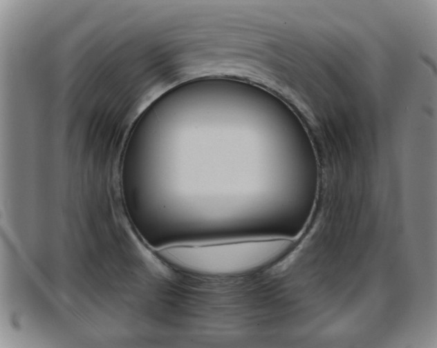 X0000097861521200803140845