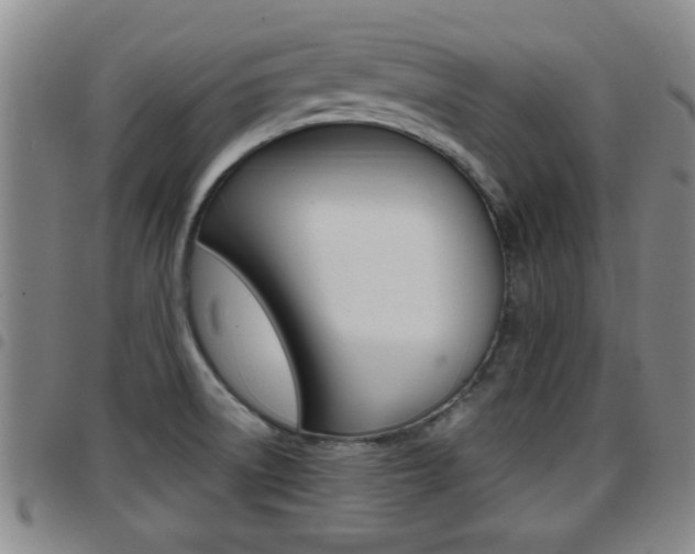 X0000097861522200803140845