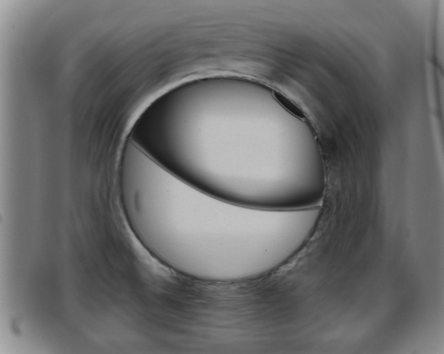 X0000097861524200803140845
