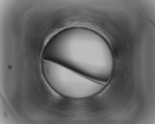 X0000097861525200803140845
