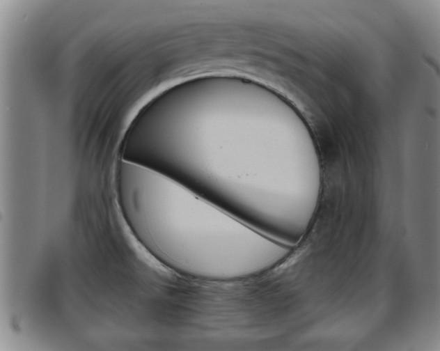 X0000097861526200803140845