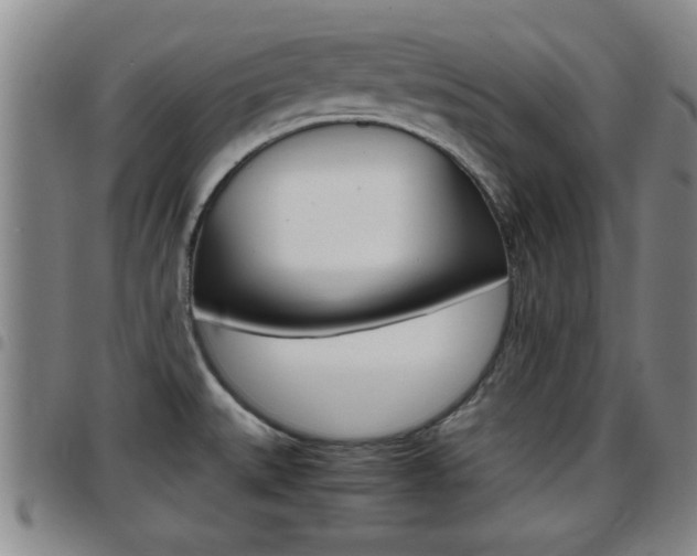 X0000097861527200803140845