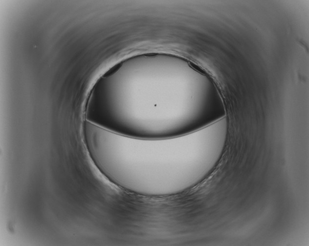 X0000097861528200803140845