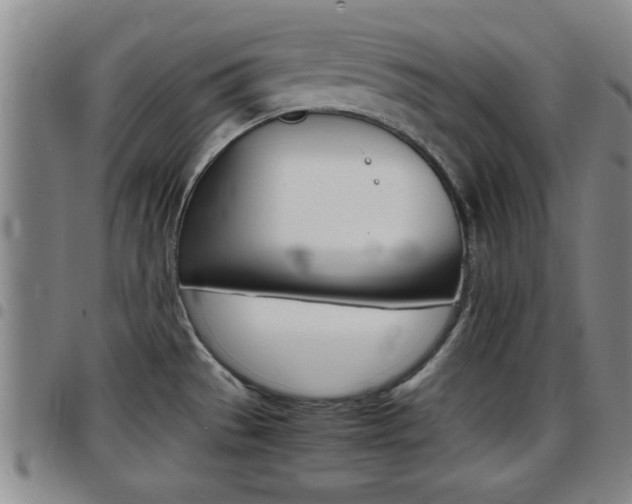 X0000097861529200803140845