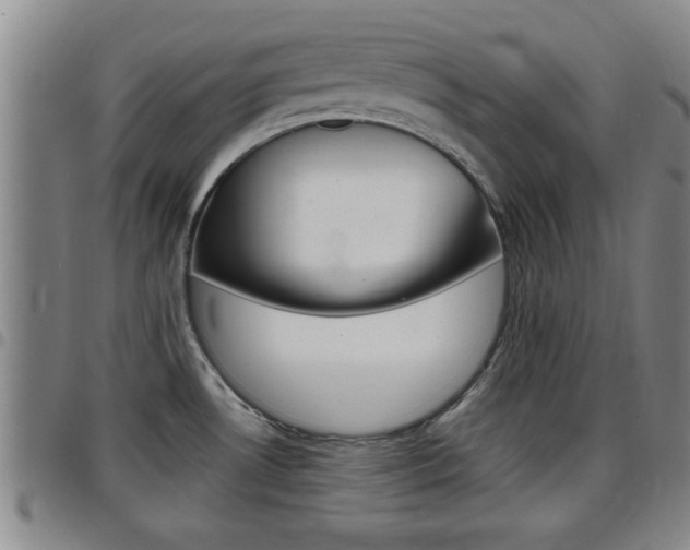 X0000097861530200803140845