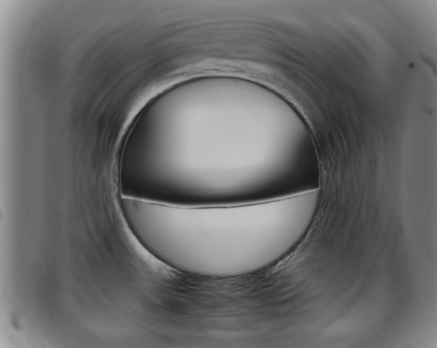 X0000097861531200803140845