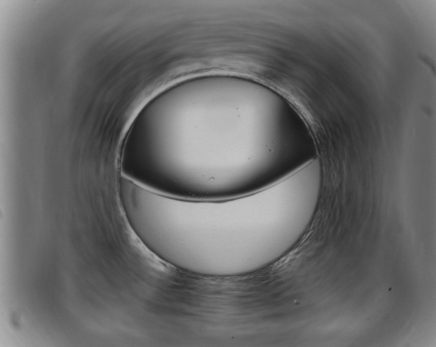 X0000097861532200803140845