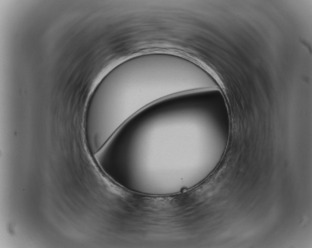 X0000097861533200803140845