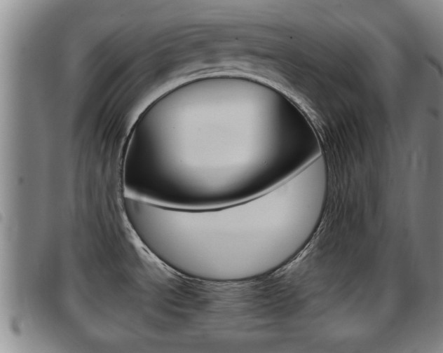 X0000097861534200803140845