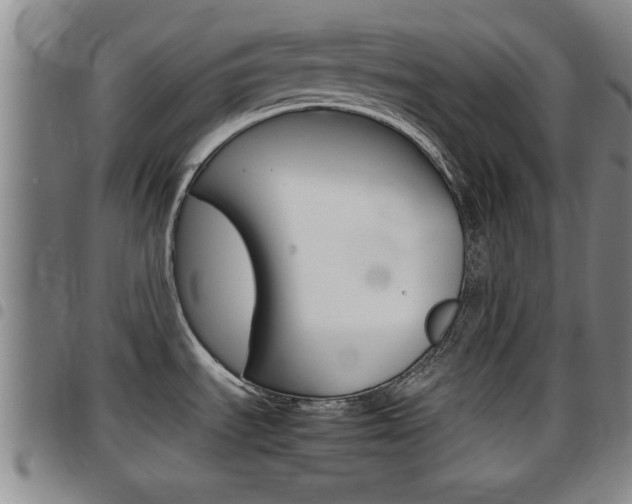 X0000097861535200803140845