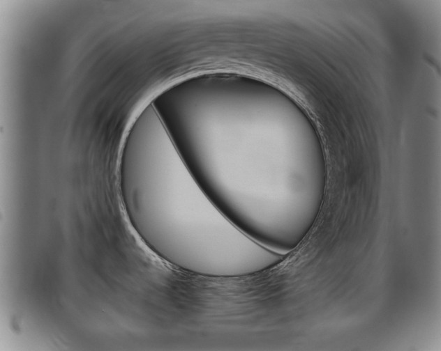 X0000097861536200803140845