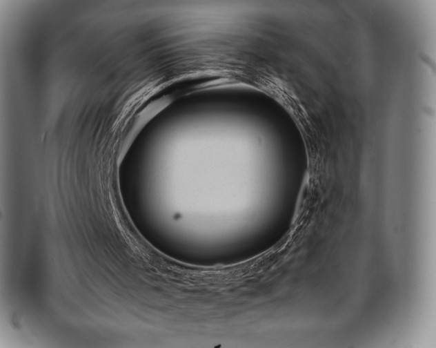 X0000097860001200803141248