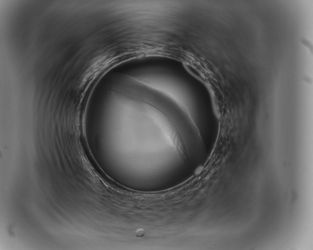 X0000097860002200803141248