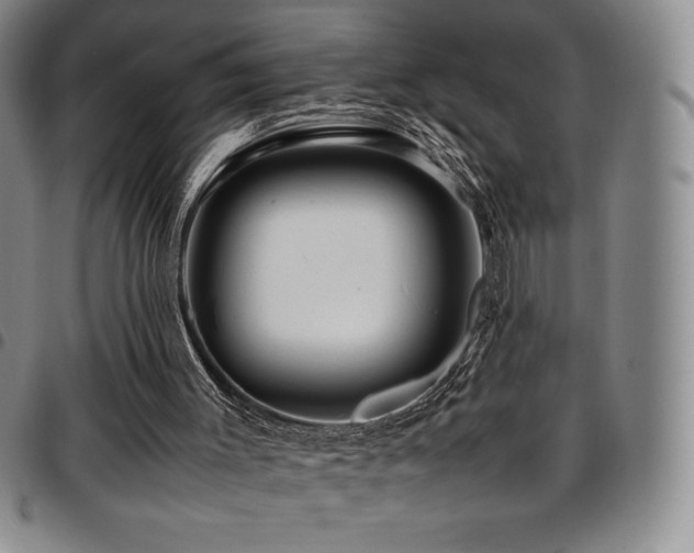 X0000097860003200803141248