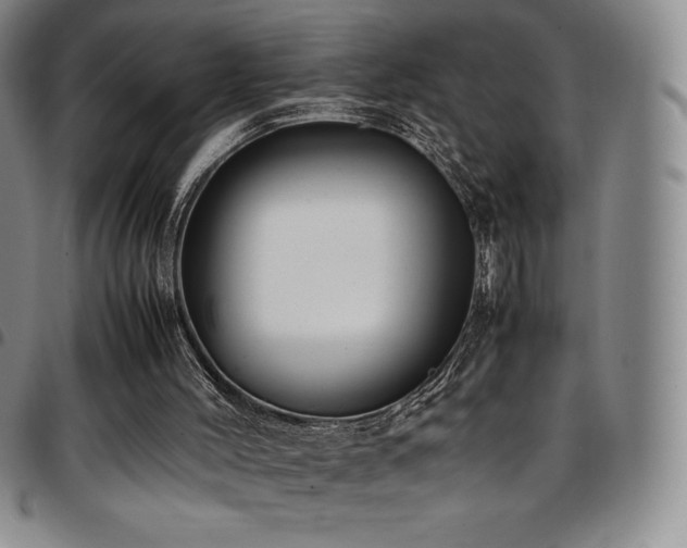 X0000097860004200803141248