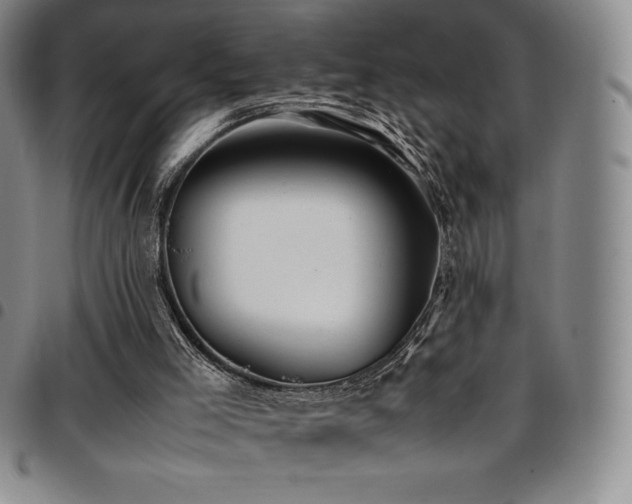 X0000097860005200803141248