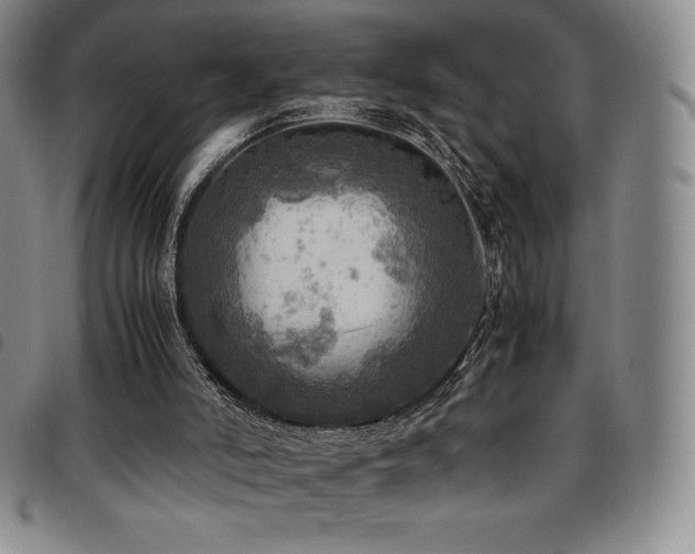 X0000097860006200803141248