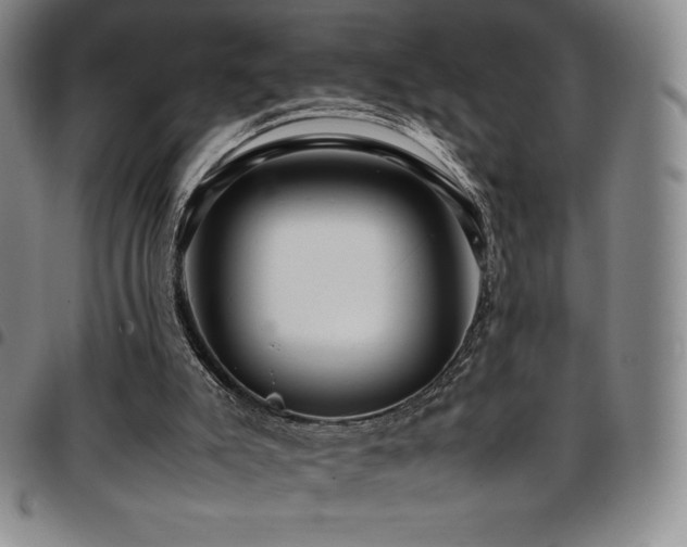 X0000097860007200803141248