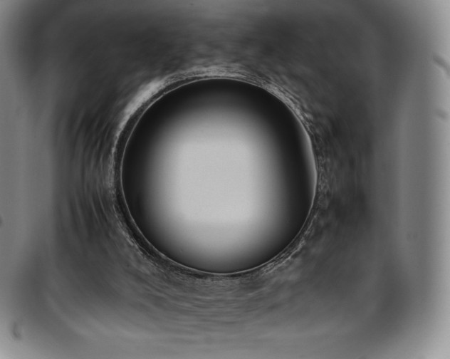 X0000097860008200803141248