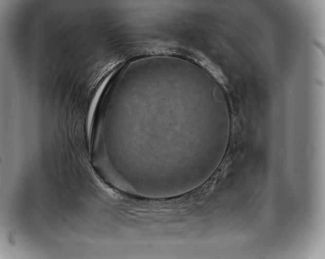 X0000097860009200803141248