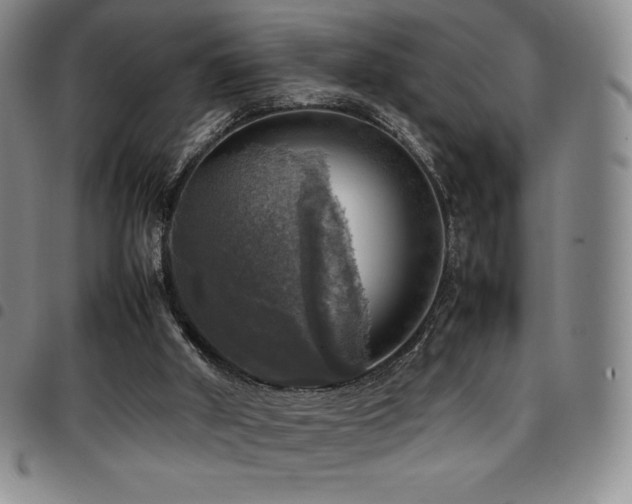 X0000097860010200803141248