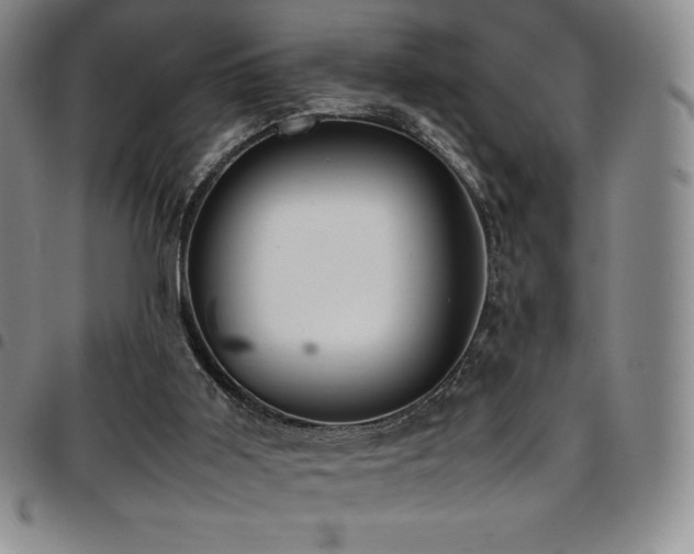 X0000097860011200803141248