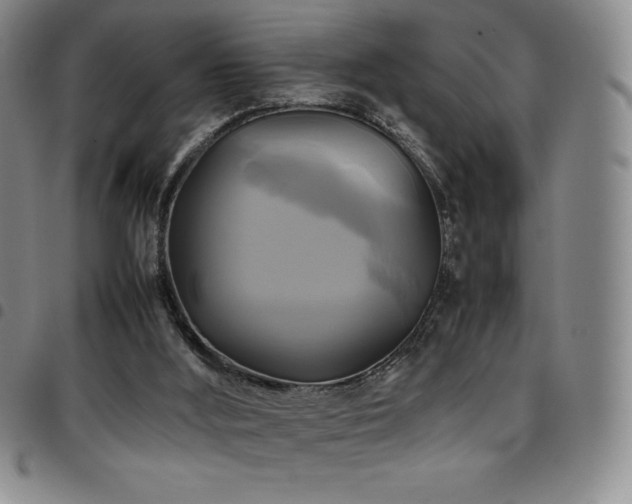 X0000097860012200803141248