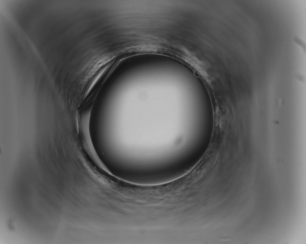 X0000097860013200803141248