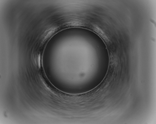 X0000097860014200803141248