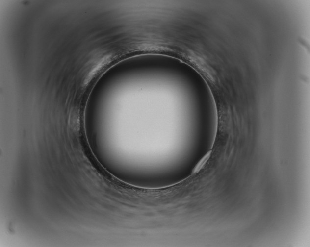 X0000097860015200803141248