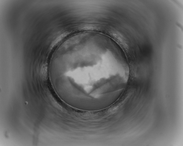 X0000097860016200803141248