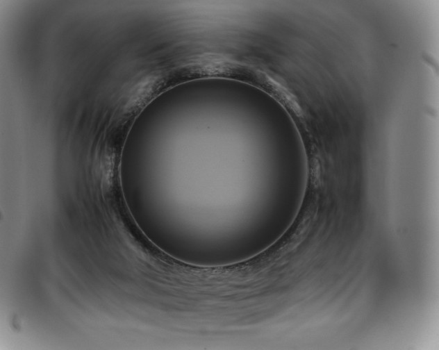 X0000097860018200803141248