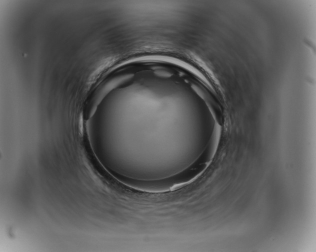 X0000097860019200803141248