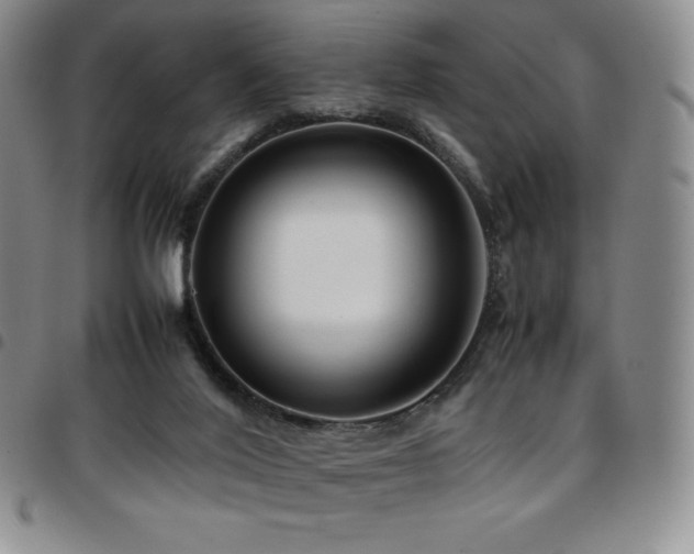 X0000097860020200803141248